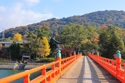 宇治川朝霧橋と紅葉風景