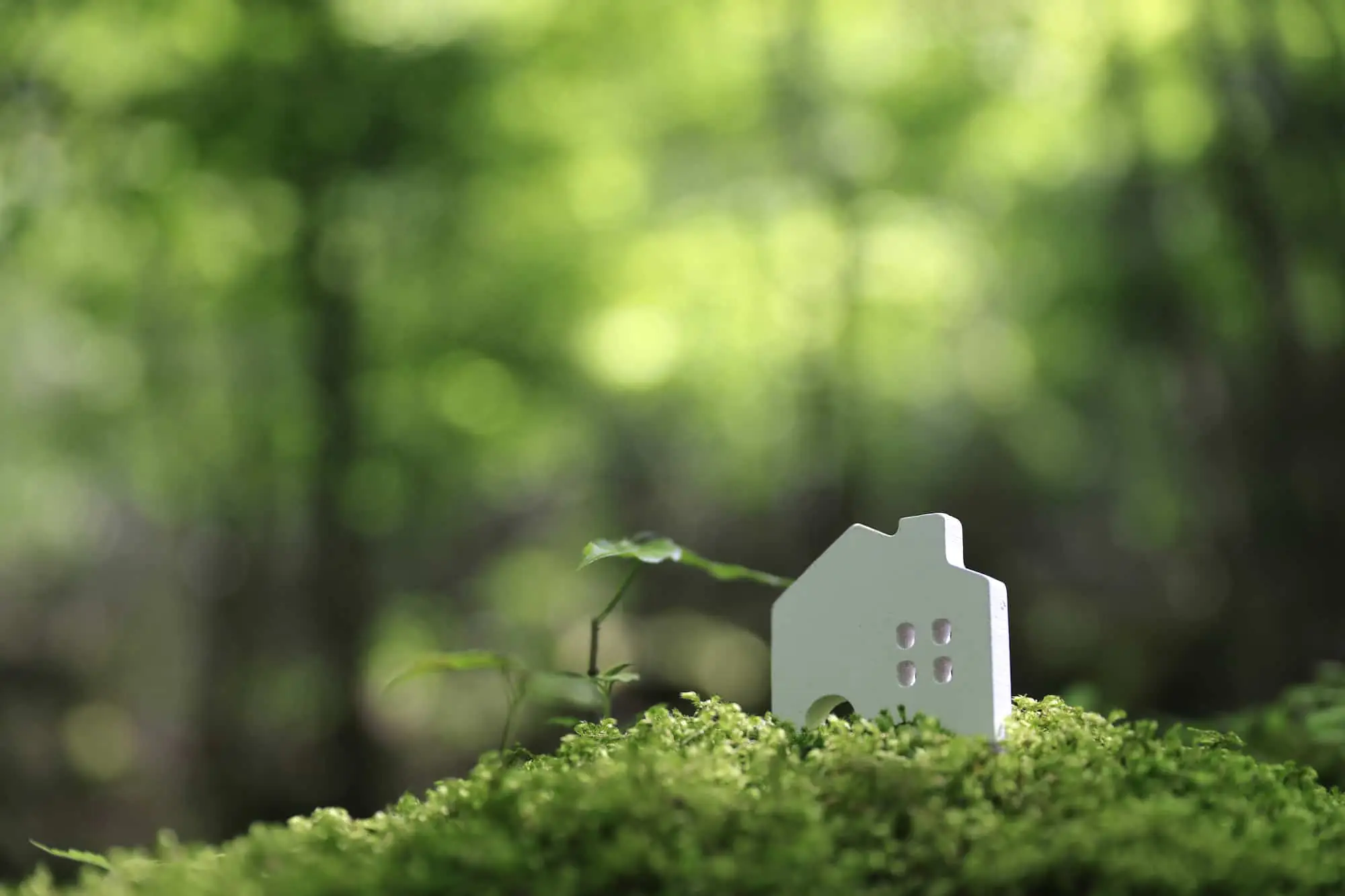 森の中の小さな家